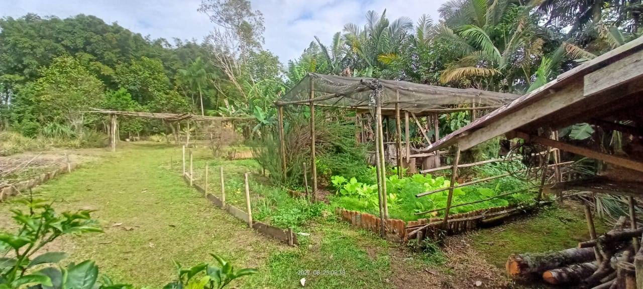 Terreno, 2500 m² - Foto 7