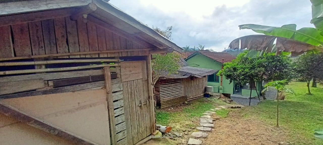 Terreno, 2500 m² - Foto 6